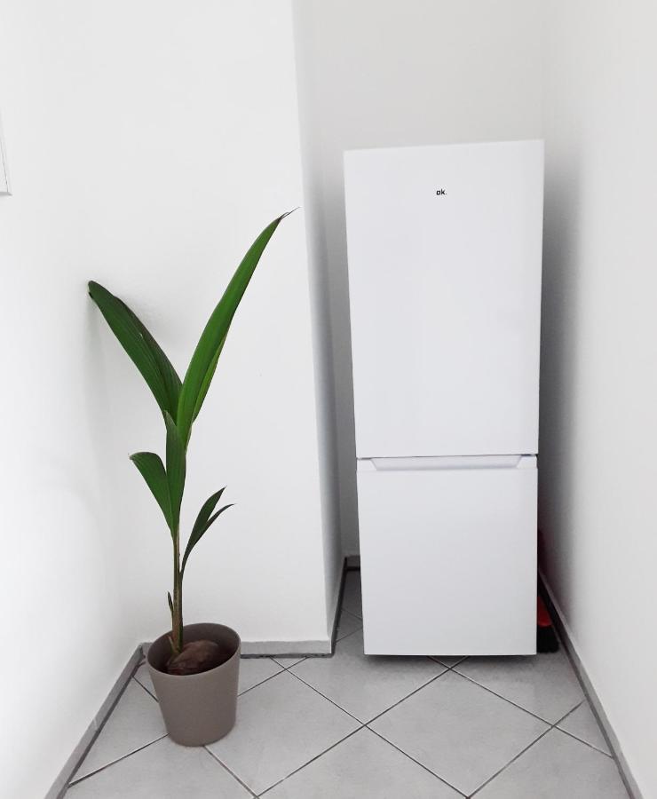 Schoene, Ruhige Zweiraumwohnung Im Angesagten Altlindenau Lipsia Esterno foto